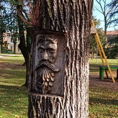 Due nuovi alberi e un volto scolpito su un tronco morto: al Bosco la celebrazione del ciclo della vita