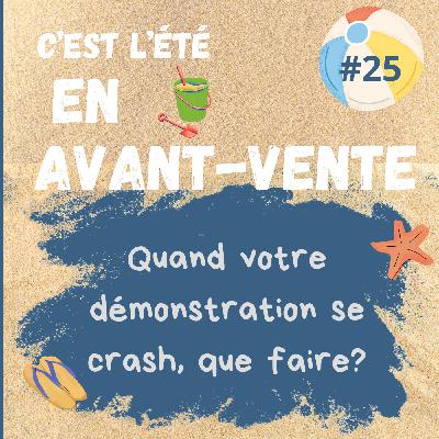 #25 - Que faire quand votre demonstration se crash
