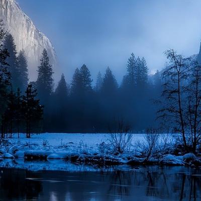 DR 33 / Unsere Top 5 Winterdüfte 2020