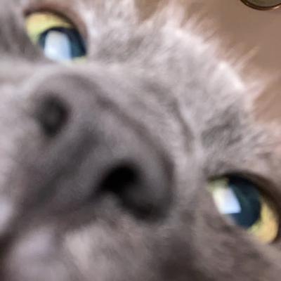 Surreal Reel Episode 6 Surreal Reel Episode 6