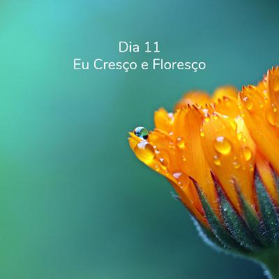 Dia 11 - Eu Cresço e Floresço