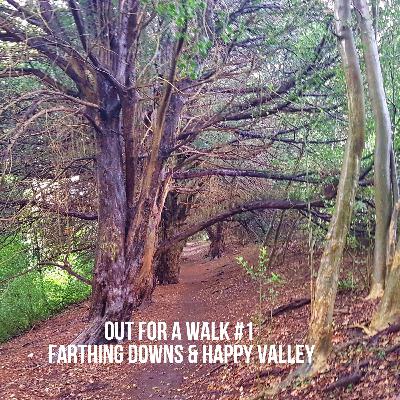 Out for a Walk #1 - Farthing Downs & Happy Valley