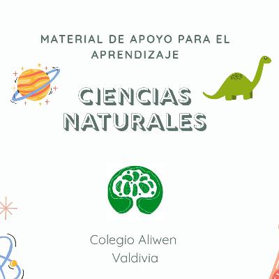 Ciencias Naturales: La Gran Invasión Ciencias Naturales: La Gran Invasión