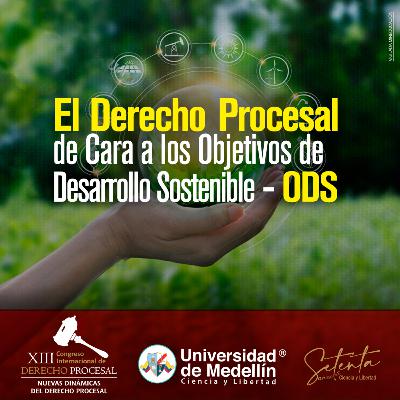 EL DERECHO PROCESAL DE CARA A LOS OBJETIVOS DE DESARROLLO SOSTENIBLE