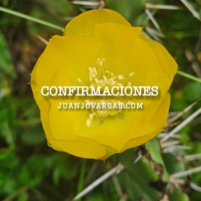 Confirmaciones - Juanjo Vargas
