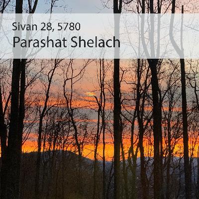 AE: Torah for the Earth - Shelach AE: Torah for the Earth - Shelach