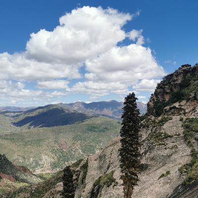 Bolivia -inka trail - schöne Ruhe und Gedanken zum Leben und erfreuen :)))