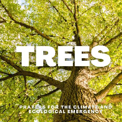 Trees: Prayers for the Climate and the Ecological Emergency
