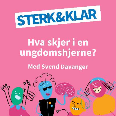 Hva skjer i en ungdomshjerne?