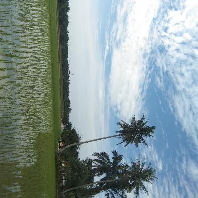 Dogeng Anak""Malapetaka untuk sahabat yang suka menipu""