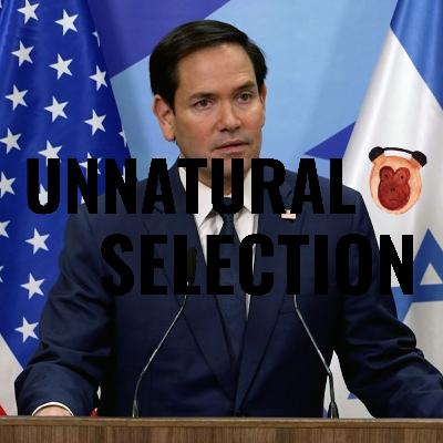 Definitely Not a Forever War