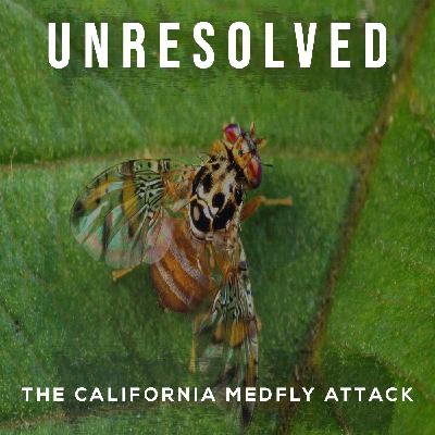 The California Medfly Attack