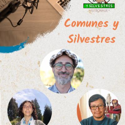 Conversatorio de actualidad nacional y local