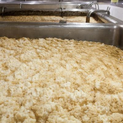 Episode 234: Meet the Yeast Dealer