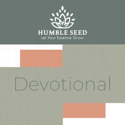 Devotional Yin - The Stone Cutter Devotional Yin - The Stone Cutter