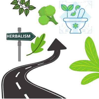 My Journey To Becoming A Herbalist ππΏπ My Journey To Becoming A Herbalist ππΏπ