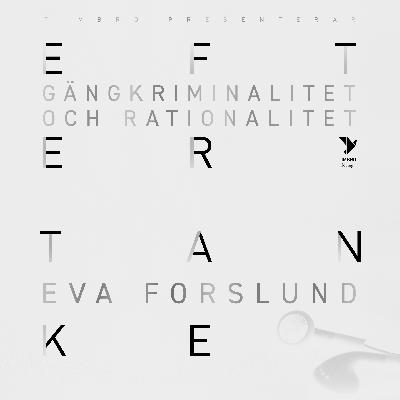 Gängkriminalitet och rationalitet – om vikten av att förstå brottslighetens orsaker