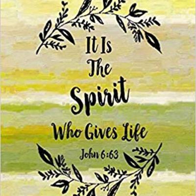 Bible Class: "It is the Spirit who gives life" John 6:60—7:1 Bible Class: "It is the Spirit who gives life" John 6:60—7:1