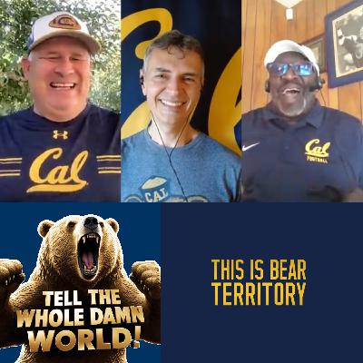 Ep. 51 - Cal Football Recap - Minnesota