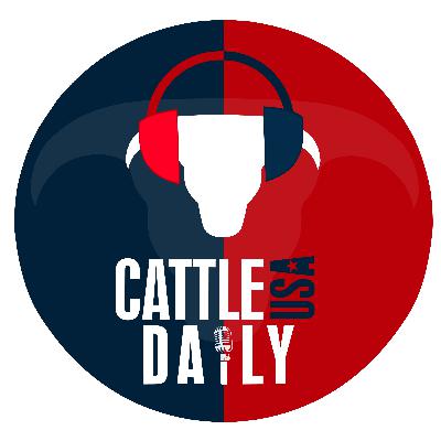 174: Cattle Market Highs and the Impact of the Government Shutdown with Dan Gerhold