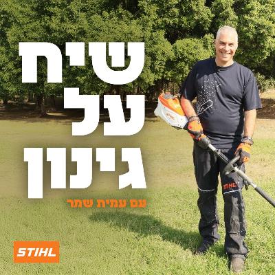 למה ללמוד שתלנות עם אסף בשן - ומה הופך את השיטה שלו לכל כך מיוחדת? | פרק 21