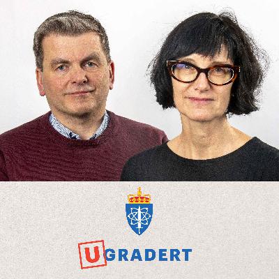 Korleis vil Totalforsvarsåret 2026 påverke deg?