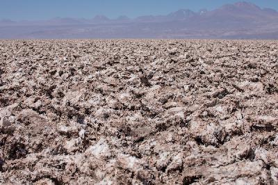 242 – Living Minerals (feat. Javiera Barandiarán) 242 – Living Minerals (feat. Javiera Barandiarán)