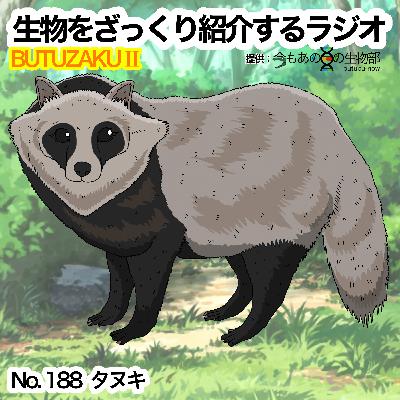 第88話:✉️「タヌキ」をざっくり紹介 第88話:✉️「タヌキ」をざっくり紹介