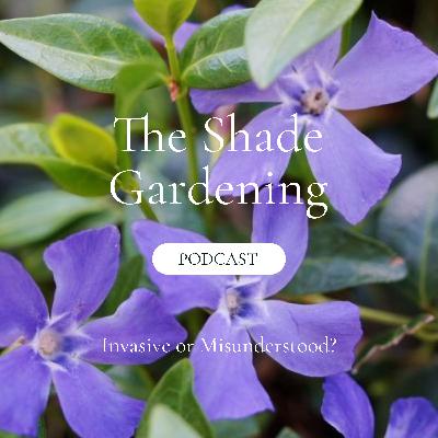 Invasive or Misunderstood?