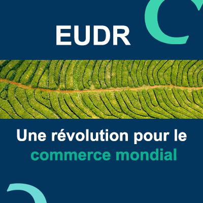 Déforestation : l’EUDR, une révolution pour le commerce international ?