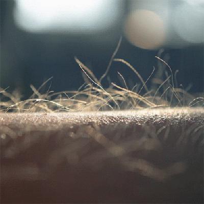 Qu'est-ce qui te donne la chair de poule ? 😱🪿