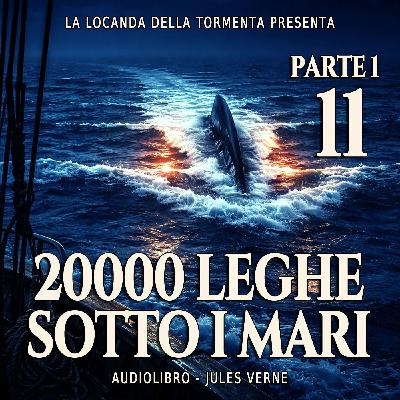 20000 Leghe sotto i mari - Parte 1 - Capitolo 11