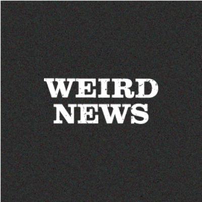 #199 - Weird News: Pork Products