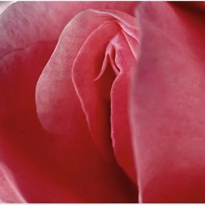 Otro sueño de Lucas