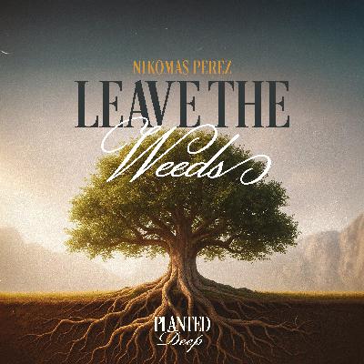 Leave the Weeds | Nikomas Perez Leave the Weeds | Nikomas Perez