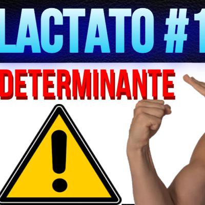 😍LACTATO | TE LO HAN EXPLICADO MAL TODA TU VIDA😤