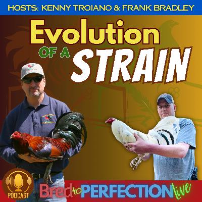 Ep256 - Evolution of a Strain - Connecting Evolutionary Biology to Selective Breeding