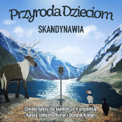 Przyroda Dzieciom #13: W tundrze