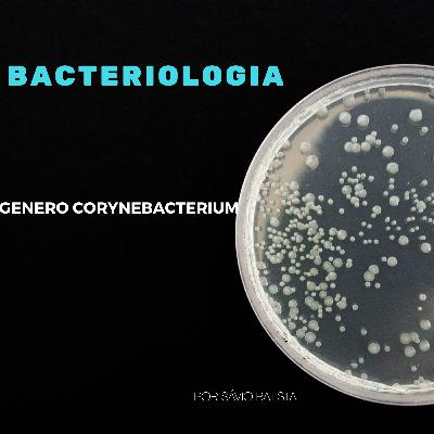 BACTERIOLOGIA - GÊNERO CORYNEBACTERIUM