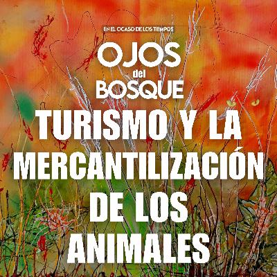 Turismo y la mercantilización de los animales