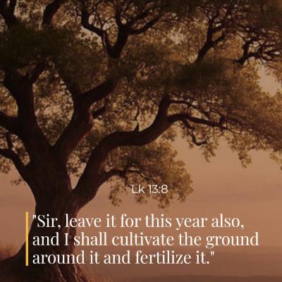 October 25, 2025 - XXIX Saturday in Ordinary Time October 25, 2025 - XXIX Saturday in Ordinary Time