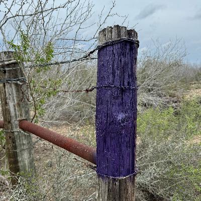 The Purple Fence Post