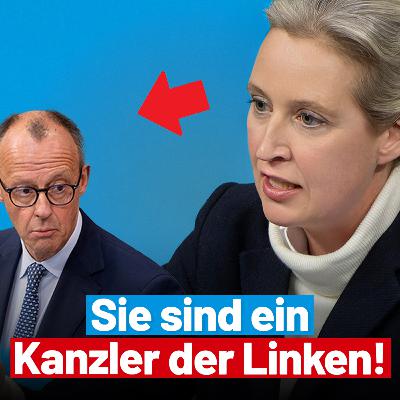 Alice Weidel rechnet mit Wahlbetrüger Merz ab! - Bundestagsrede