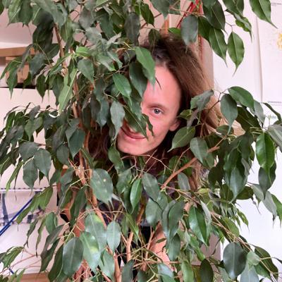 Littis Kurzgeschichten - Zukunftsvision Teil 2