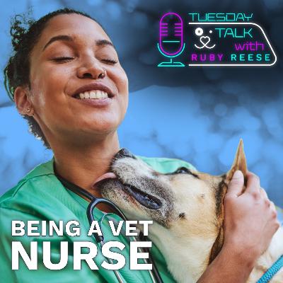 Being a Vet Nurse