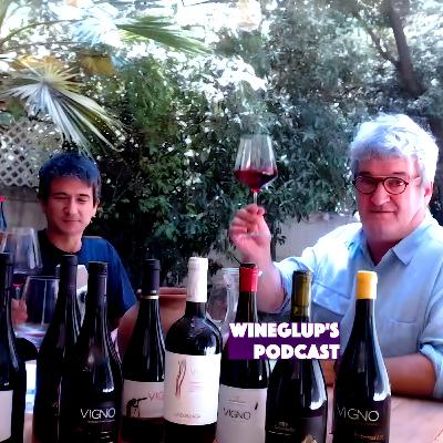 VIII Asociatividad y vinos