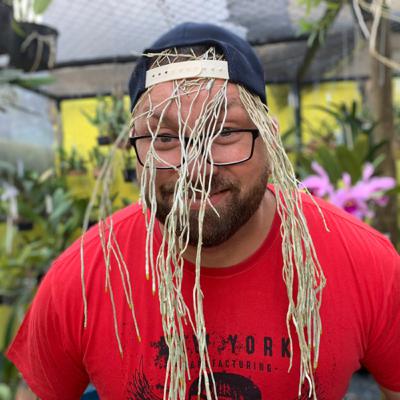 Revelado! O segredo é cultivar raiz de orquídea