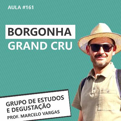 PODCAST aula 161 - Borgonha: Grand Cru - Prof. Marcelo Vargas