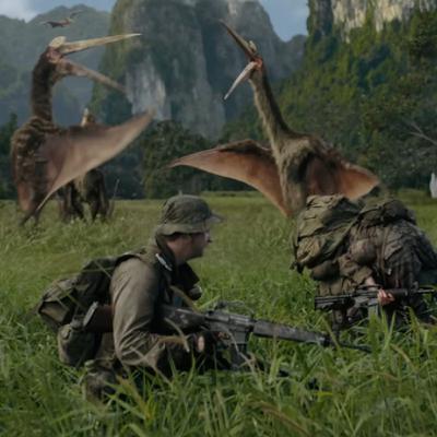 PRIMITIVE WAR