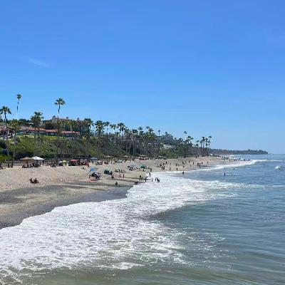 【减压下午茶】EP3 人生如逆旅，苏轼教你“想开点”